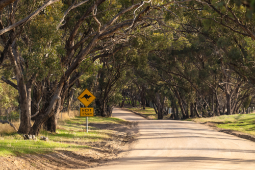 Kangaroo warning sign next to the country road in the Onkaparinga River National Park - Australian Stock Image