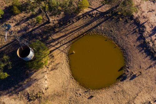 kangaroos by the dam - Australian Stock Image