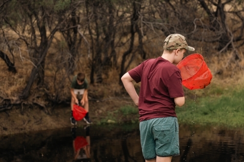 Kids catching tadpoles. Outdoor nature activity. - Australian Stock Image