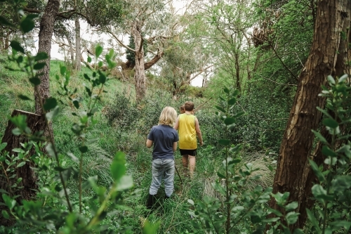 Kids on adventure in lush green woodland - Australian Stock Image