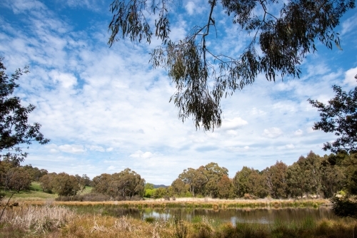 Lake Canobolas on a sunny day