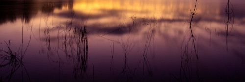 Lake Samsonvale reflecting purple sunset colours - Australian Stock Image