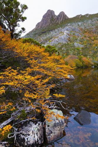 Lake Wilks below Cradle Mountain - Australian Stock Image