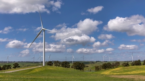 Landscape of wind turbines in countryside setting - Australian Stock Image