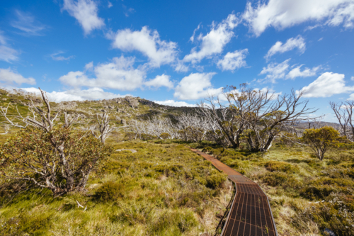 Landscape views along the Porcupine Walking Track on a summer's day in Kosciuszko National Park, - Australian Stock Image