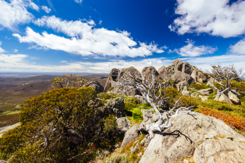 Landscape views along the Porcupine Walking Track on a summer's day in Kosciuszko National Park - Australian Stock Image