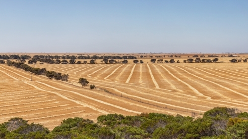 Landscape with harvest lines making interesting patterns in the fields with trees in the foreground - Australian Stock Image