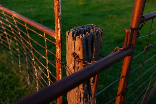 last warm sunlight on old farm fence post and metal gate and chain - Australian Stock Image