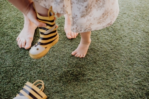 Legs and feet of a child and parent helping take gumboots off - Australian Stock Image