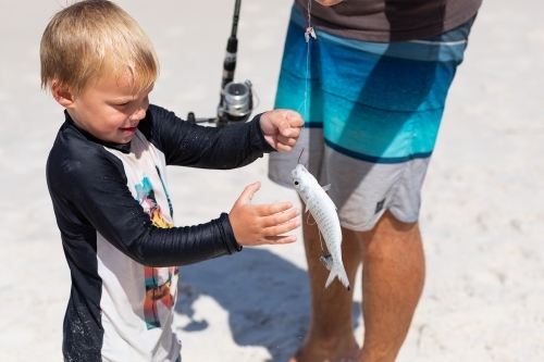 little boy on the beach with his dad and a fish he caught - Australian Stock Image
