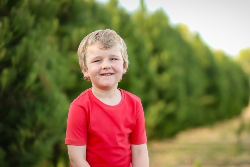 Little boy wearing red shirt smiling in front of row of Christmas trees on farm - Australian Stock Image