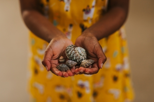 Little girl holding seashells in her hands - Australian Stock Image