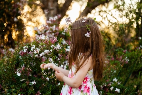 Little girl in garden with jasmine flower crown - Australian Stock Image