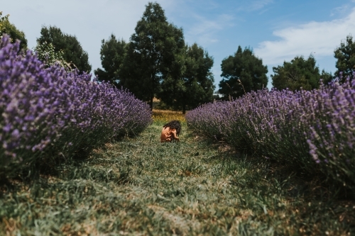 Little girl sitting in Lavender Farm - Australian Stock Image