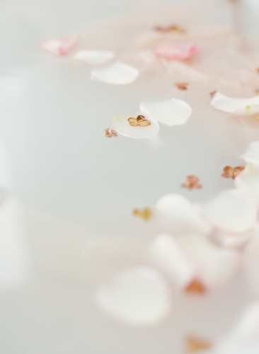Little pretty rose flowers and dried hydraengas petals on a milk bath - Australian Stock Image