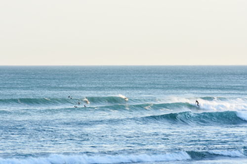 Long shot of surfers on large waves, late afternoon - Australian Stock Image