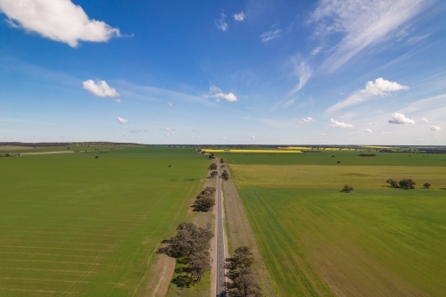 Long straight road though farm fields - Australian Stock Image