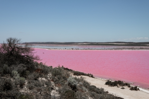 Looking across Pink Lake Lagoon with white sand and low hills in the distance - Australian Stock Image