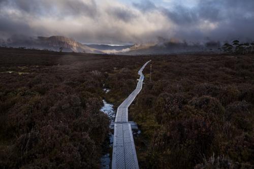 Looking ahead along trail whilst walking the Overland Track