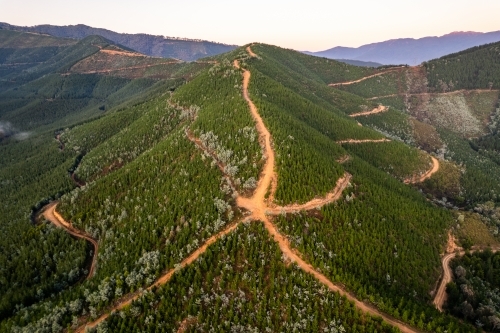 Looking down at green mountains filled with pine trees and dirt tracks - Australian Stock Image