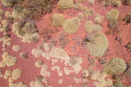 Looking down from a lower angle seeing only the red Australian outback dirt and speckles of bushes i
