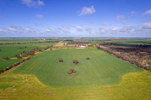 Looking down on canola, wheat and other grain crops in the Mallee. - Australian Stock Image