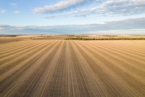 Looking down on fields of new crops in a new season on an early morning - Australian Stock Image