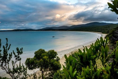 Looking over plants and trees, across a bay under a cloudy sky