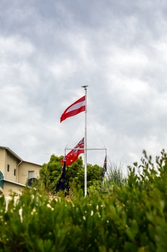 Looking through beach shrubs to a beach house and flag pole - Australian Stock Image