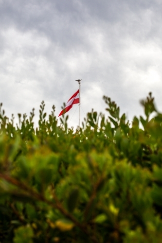 Looking through beach shrubs to a beach house and flag pole - Australian Stock Image