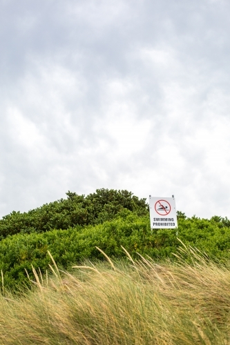 Looking through dune grass to a no swimming beach sign - Australian Stock Image