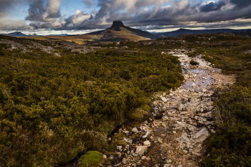 Looking towards Barn Bluff on the Overland Track, Tasmania - Australian Stock Image