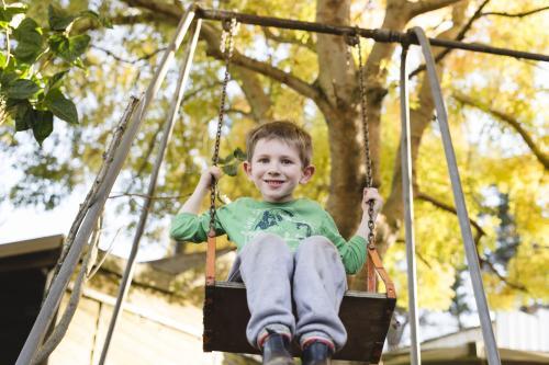 Looking up at young boy swinging under a tree - Australian Stock Image