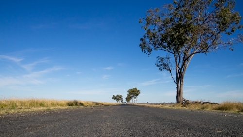 Low angle view of country road and sky