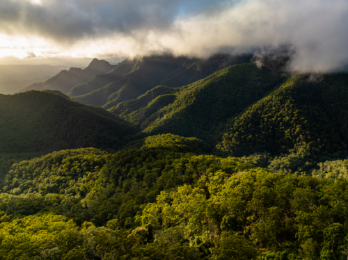 low cloud over forested mountain landscape - Australian Stock Image