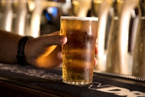 Man holding pint of beer at bar - Australian Stock Image