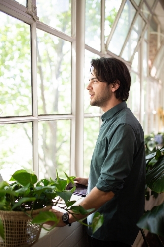 Man looking through paned glass windows in creative studio space with plants along windowsill - Australian Stock Image