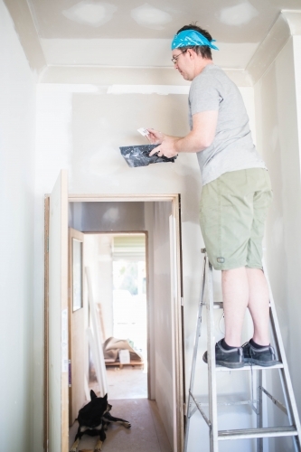 Man standing on ladder with paint tray painting wall of new room with dog in doorway - Australian Stock Image