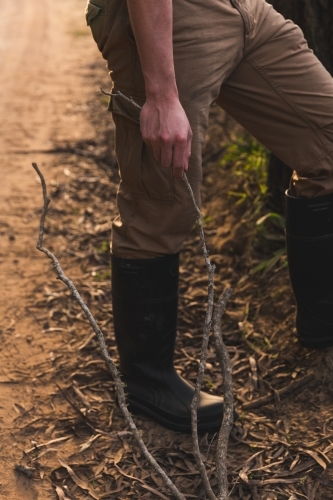 Man standing on side of rural dirt road, collecting wood for camp fire - Australian Stock Image