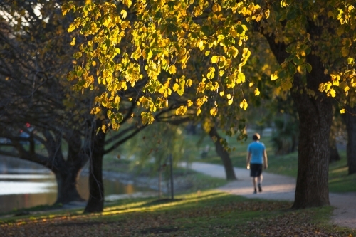 Man walking on a track around a lake. - Australian Stock Image