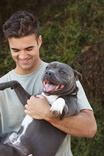 Man with his pet dog - Australian Stock Image