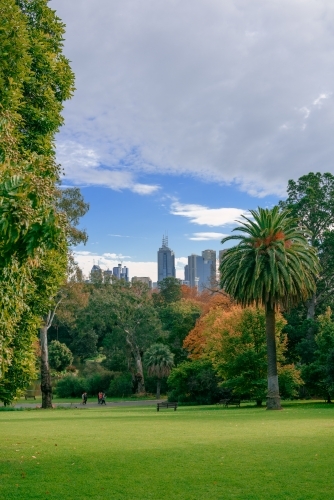 Park view of Royal Botanic Garden on Sunday. - Australian Stock Image