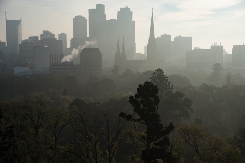 Melbourne city skyline across Fitzroy gardens - Australian Stock Image