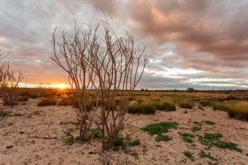 Menindee lakes void of most of its water in 2019.