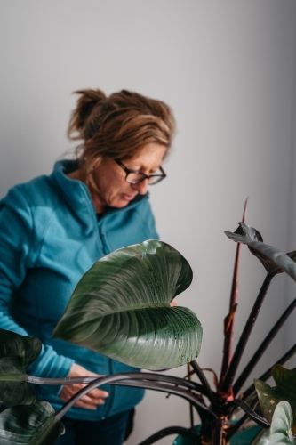 Middle aged woman tending to her plant - Australian Stock Image