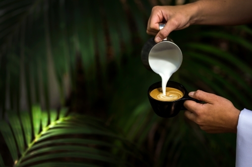 Milk being poured into a cup of coffee in a black mug - Australian Stock Image