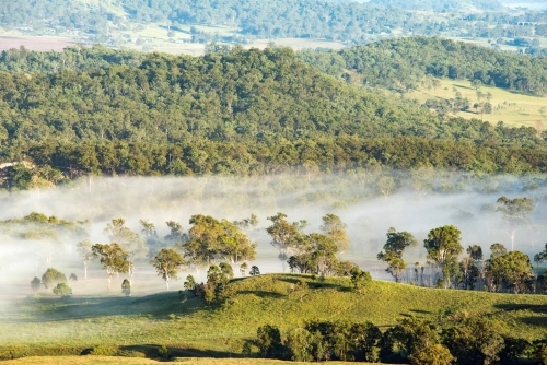 Mist covering over the valley on green trees in the early evening - Australian Stock Image