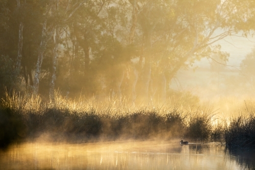 mist rising from water in early morning light - Australian Stock Image