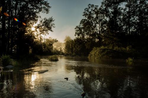 Misty creek scene at dawn - Australian Stock Image