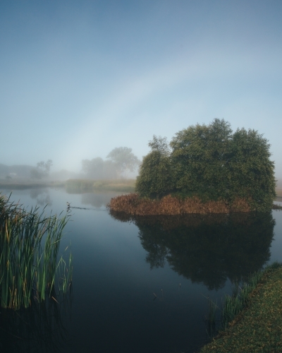 Misty morning beside a river with calm water, reeds and trees - Australian Stock Image